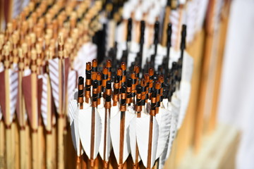 Colorful handmade wooden arrows with white feathers.