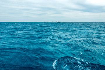 Fototapeta premium texture blue sea or ocean water full frame