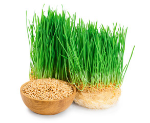 Wheat green sprouts, wheat seeds in the wooden bowl isolated on white background