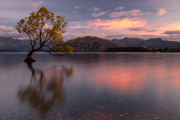 Tranquil scenery of the Wanaka lake, New Zealand