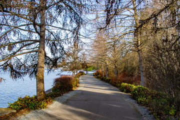 A Path by Lake Washington