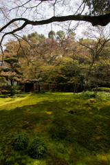 庭園の風景