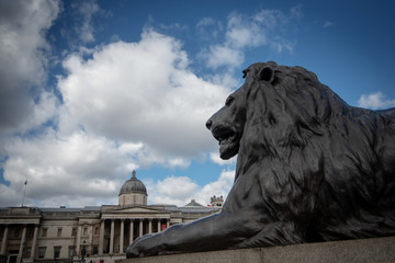 Lion sculpture on Trafalgar Square