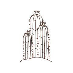 cactus in landscape isolated icon