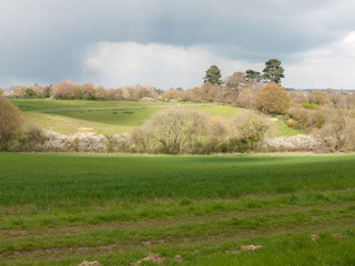 Obraz premium Beautiful outside country spring fields meadows trees sky farmland