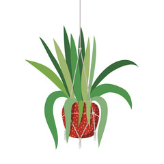 houseplant on macrame hangers icon