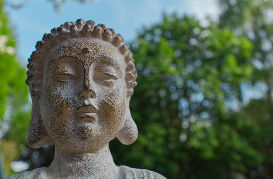 Buddha in grass