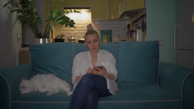 A young woman uses the phone sitting on the couch in the evening with a cat. 4K