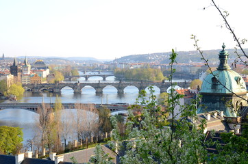 Bridges of Prague in spring