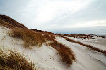 Sand dunes on the island of Amrum in spring on a cloudy day.