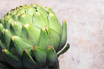 Raw uncooked whole artichoke head on white background