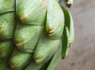 Fototapeta premium Fresh ripe organic artichoke on the rustic background. Healthy concept. Details of leaves.