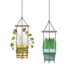 houseplants on macrame hangers icon