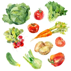 Photo sur Aluminium brossé Des légumes Collection de légumes peints à l& 39 aquarelle. Fond de légumes frais et colorés