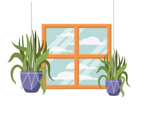 houseplants on macrame hangers icon
