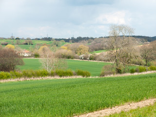 Beautiful outside country spring fields meadows trees sky farmland