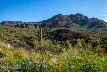 Superstition Mountains Arizona
