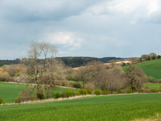 Beautiful outside country spring fields meadows trees sky farmland