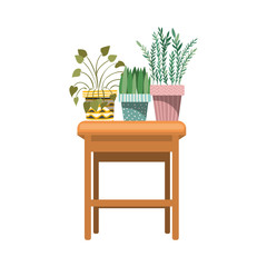 houseplants with potted on the table