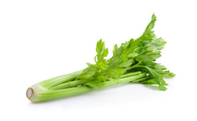 Fresh celery isolated on white background. full depth of field