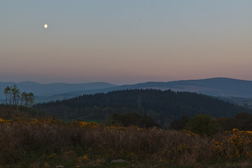Dawn in Dublin mountains