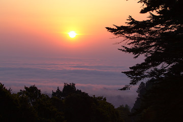 Sunrise in the mountains over a see of clouds with dark trees in the foreground