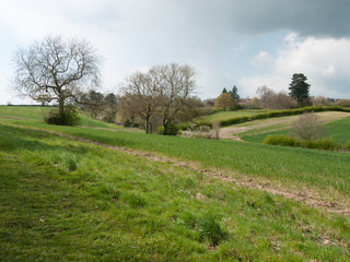 Beautiful outside country spring fields meadows trees sky farmland
