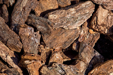 bark mulching of a tree closeup of pieces of wood lit by sunlight top view.