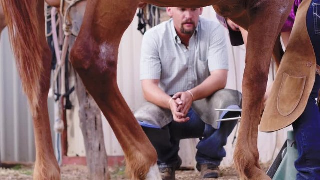 Slow motion of an apprentice Farrier learning techniques from her teacher, 23.98 fps, 4K.