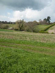 Beautiful outside country spring fields meadows trees sky farmland