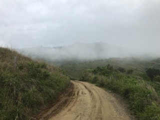 montaña en la niebla
