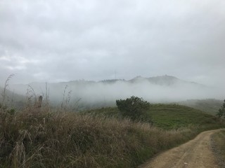 montaña en la niebla