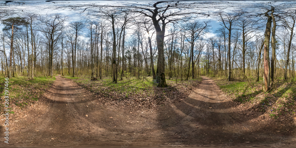 Wall mural full spherical hdri panorama 360 degrees angle view on gravel pedestrian footpath and bicycle lane p