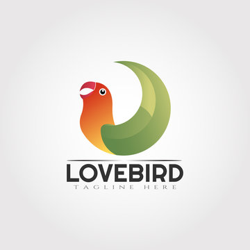 Parrot bird logo design, lovebird icon