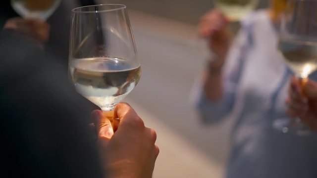 a group of friends toast with wine.