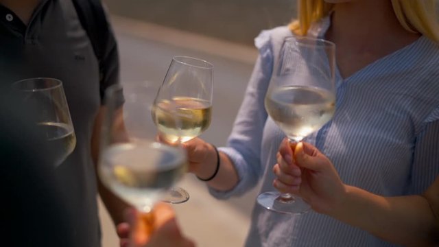 a group of friends toast with wine.