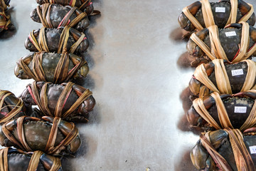 Big raw sea crab sell in fishery market
