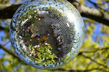 A shiny disco-ball hanging in a tree. 