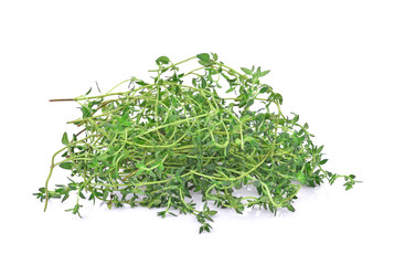 Thyme fresh herb closeup isolated on white background.
