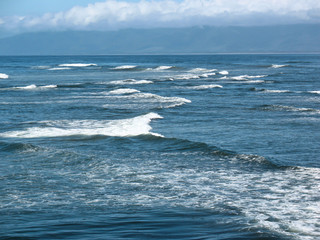 Waves on the Tasman Sea