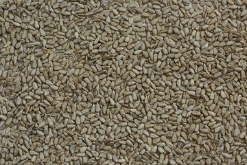 background of sunflower seeds