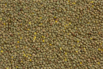 Green lentils