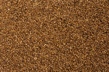 buckwheat