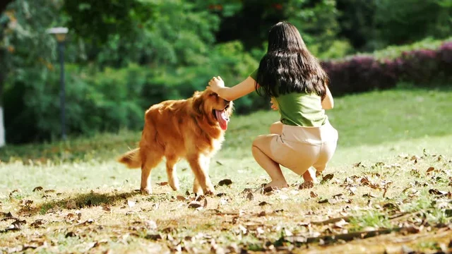Azian girl with animals erotic video