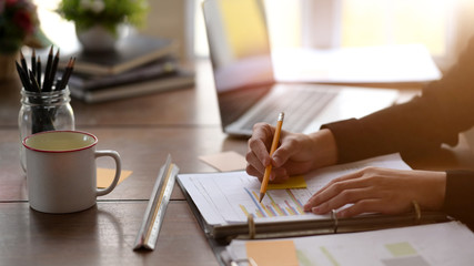 Businesswomen checking document in office