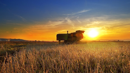 A combine harvester harvesting an oats crop at sunset