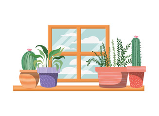 cactus with potted on shelf isolated icon