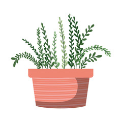 houseplant with potted isolated icon