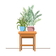 houseplants with potted on the table