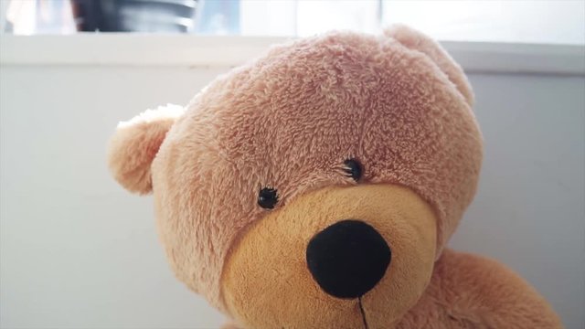Teddy bear sitting in the room waiting for his friend | SLOW MOTION